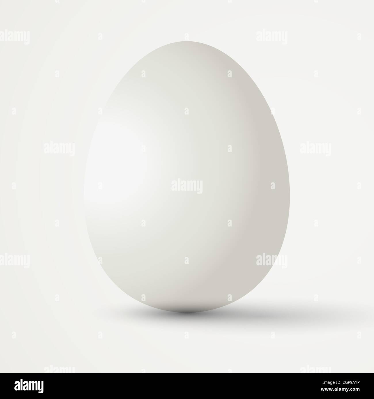 Big realistic white chicken egg with shadow on white background ...