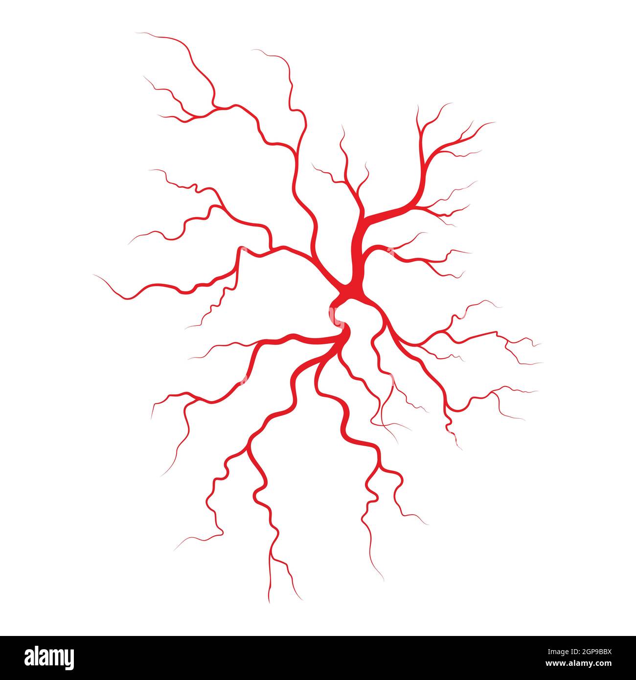 Human veins and arteries illustration design template Stock Photo - Alamy