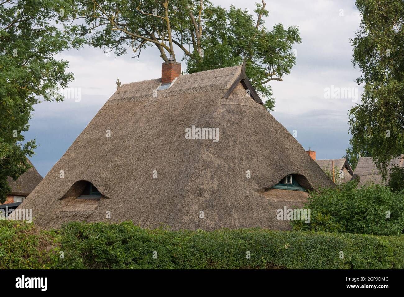 Houses on the Fischland-Darß with a thatched roof Stock Photo