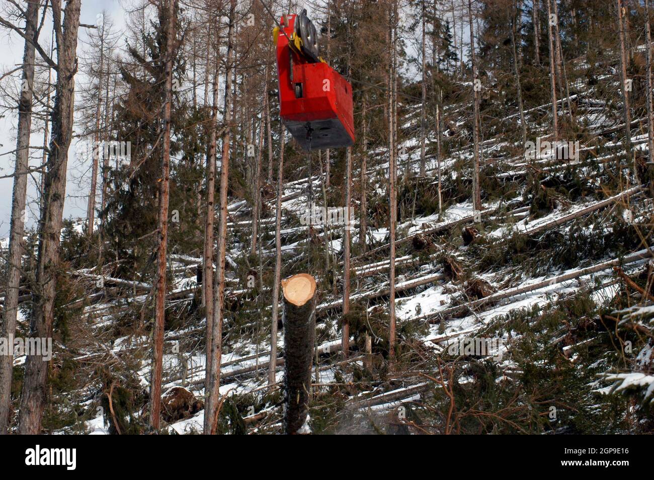 Cableway for timber transport hi-res stock photography and images - Alamy