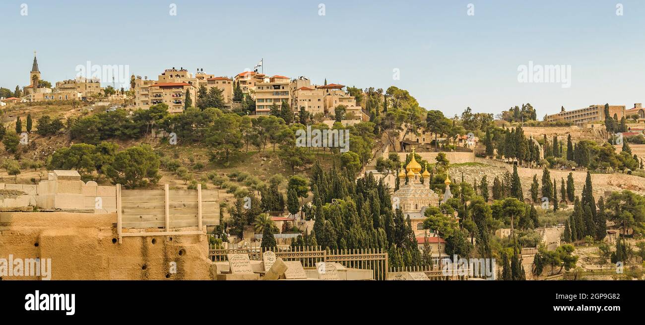 Muslim cemetery and olives mount old jerusalem city Stock Photo - Alamy
