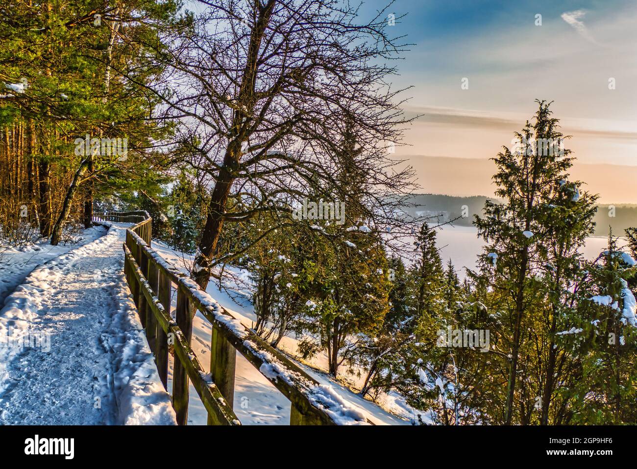 Forest Railing Scene The Wooden Path with Railings and the Forest are Covered with Snow ...