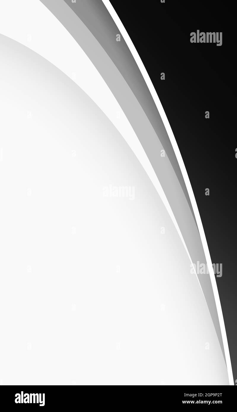 Abstract web template black and gray lines on white background - Vector ...
