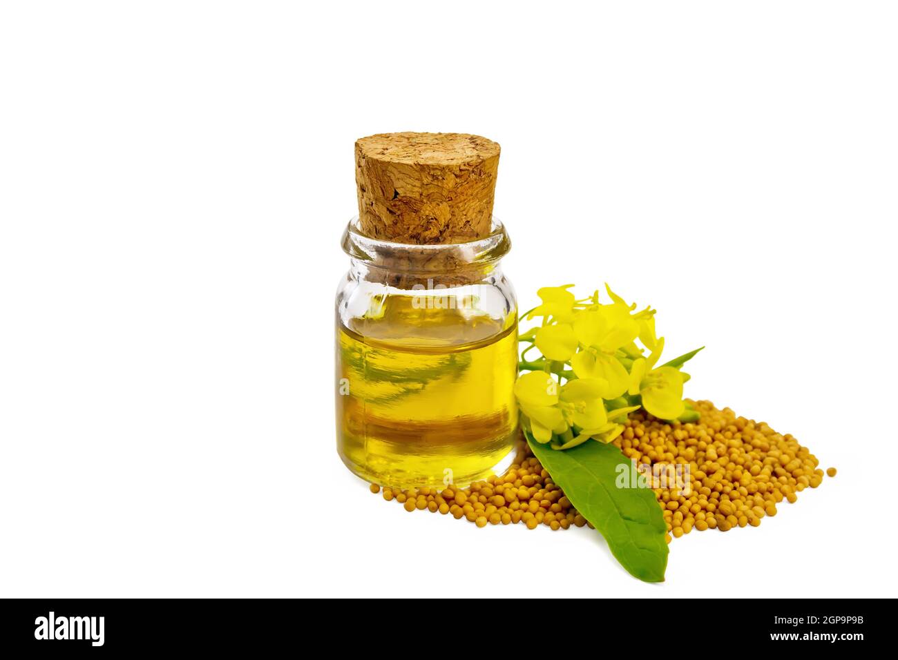 Mustard oil in a glass bottle, mustard seeds and yellow flowers isolated on  white background Stock Photo - Alamy