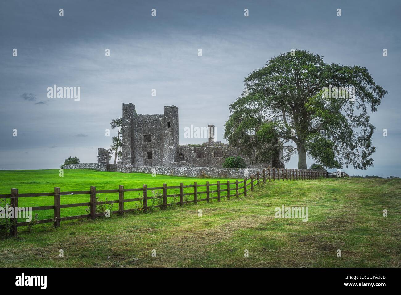 Pasture fence leading to old ruined Bective Abbey from 12th century with large green tree and field, dark sky in the background, County Meath, Ireland Stock Photo