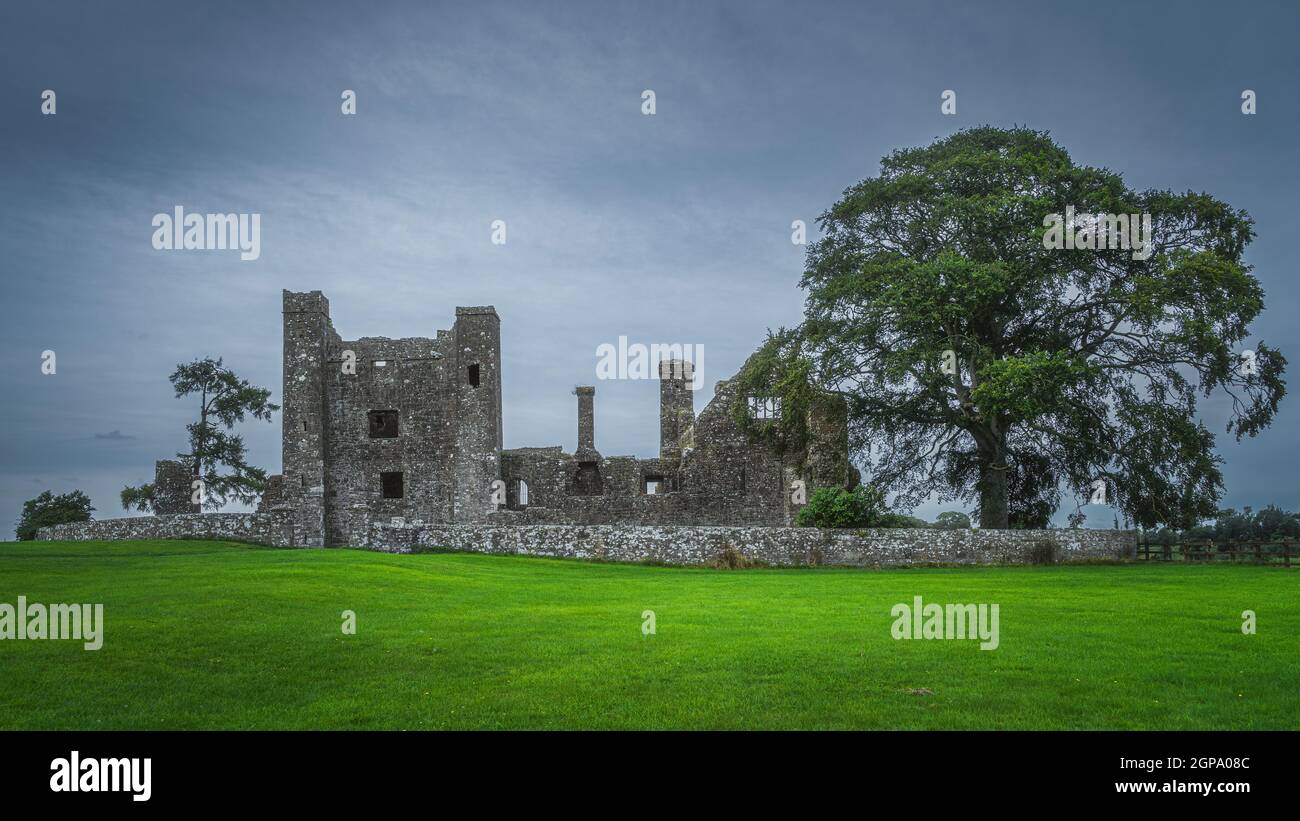 Old ruins of Christian Bective Abbey from 12th century with large green tree and field, moody dark sky in the background, County Meath, Ireland Stock Photo