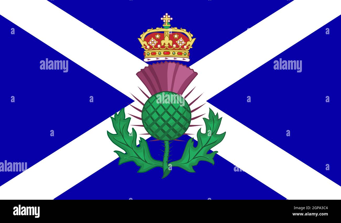 The official flag for Scotland with the traditional Scott symbol of a thistle and crown Stock Photo