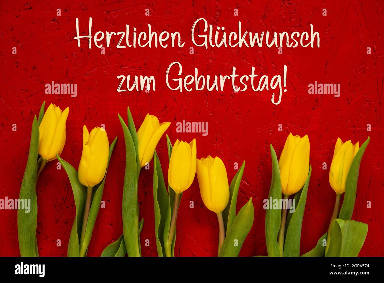 herzlichen glückwunsch zum geburtstag auf portugiesisch
