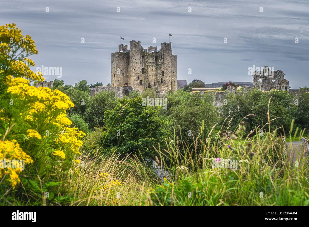 Old, ruined Trim Castle from 12th century with green trees, flowers and