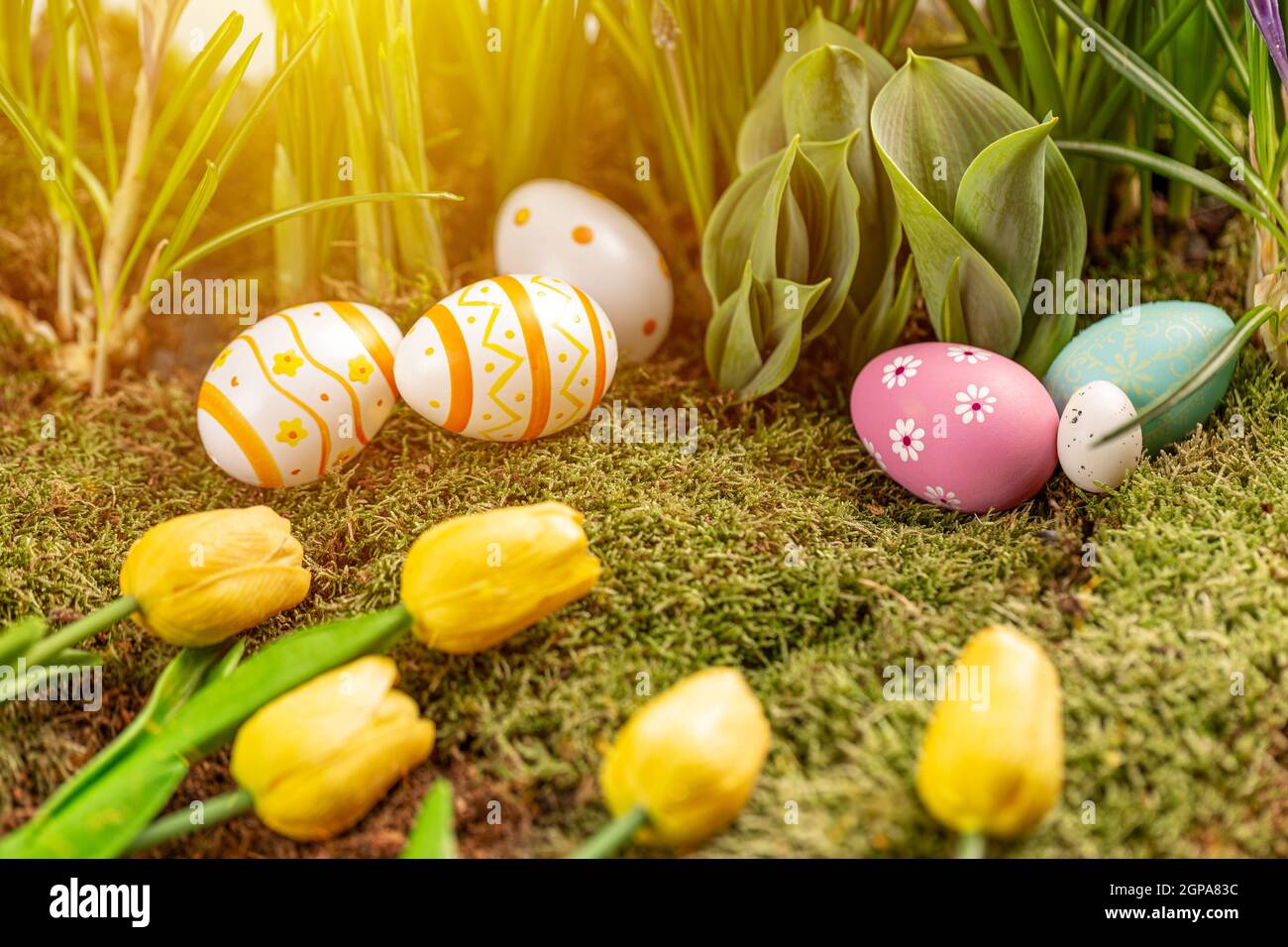 Still life Easter background. Colorful Easter eggs with tulips. Easter greeting card composition Stock Photo