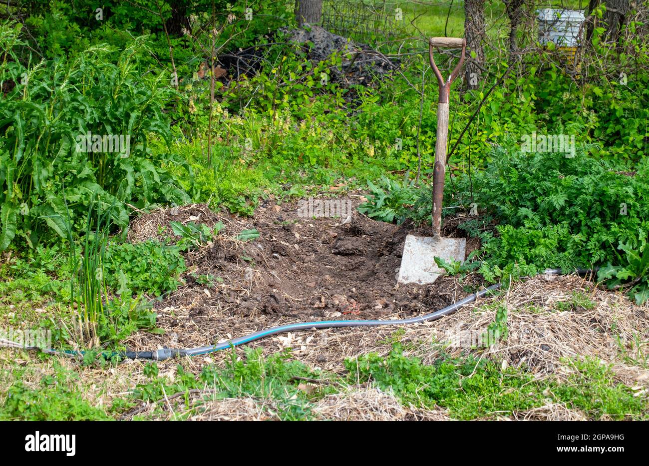 A shovel, a garden hose and a pile of dirt indicates that it might be gardening time in Missouri. Stock Photo