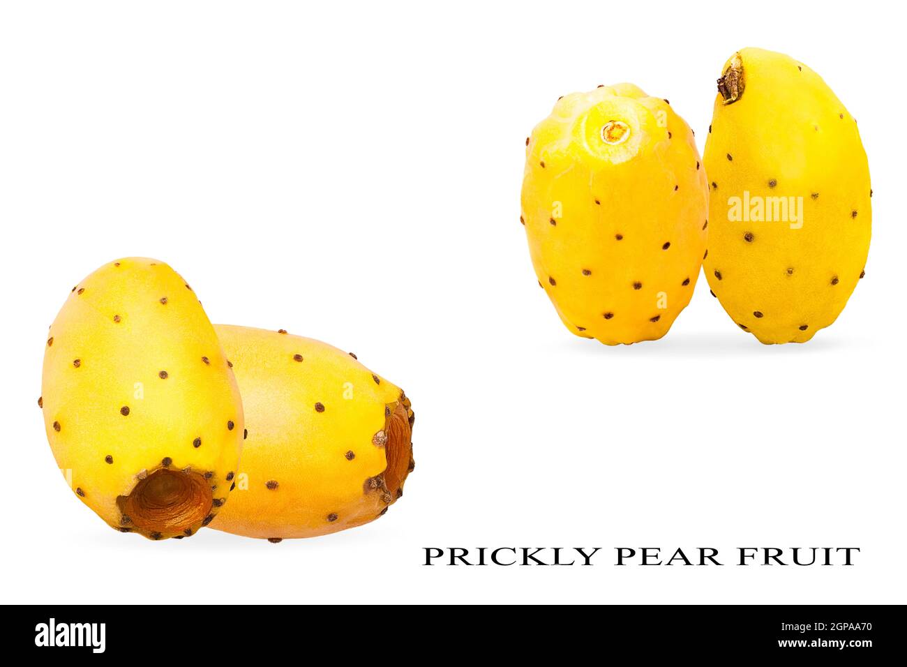 Isolated prickly pear fruits with shadow for packaging and advertisement. Full depth of field. Clip art image for package design. Copyspace for text. Stock Photo