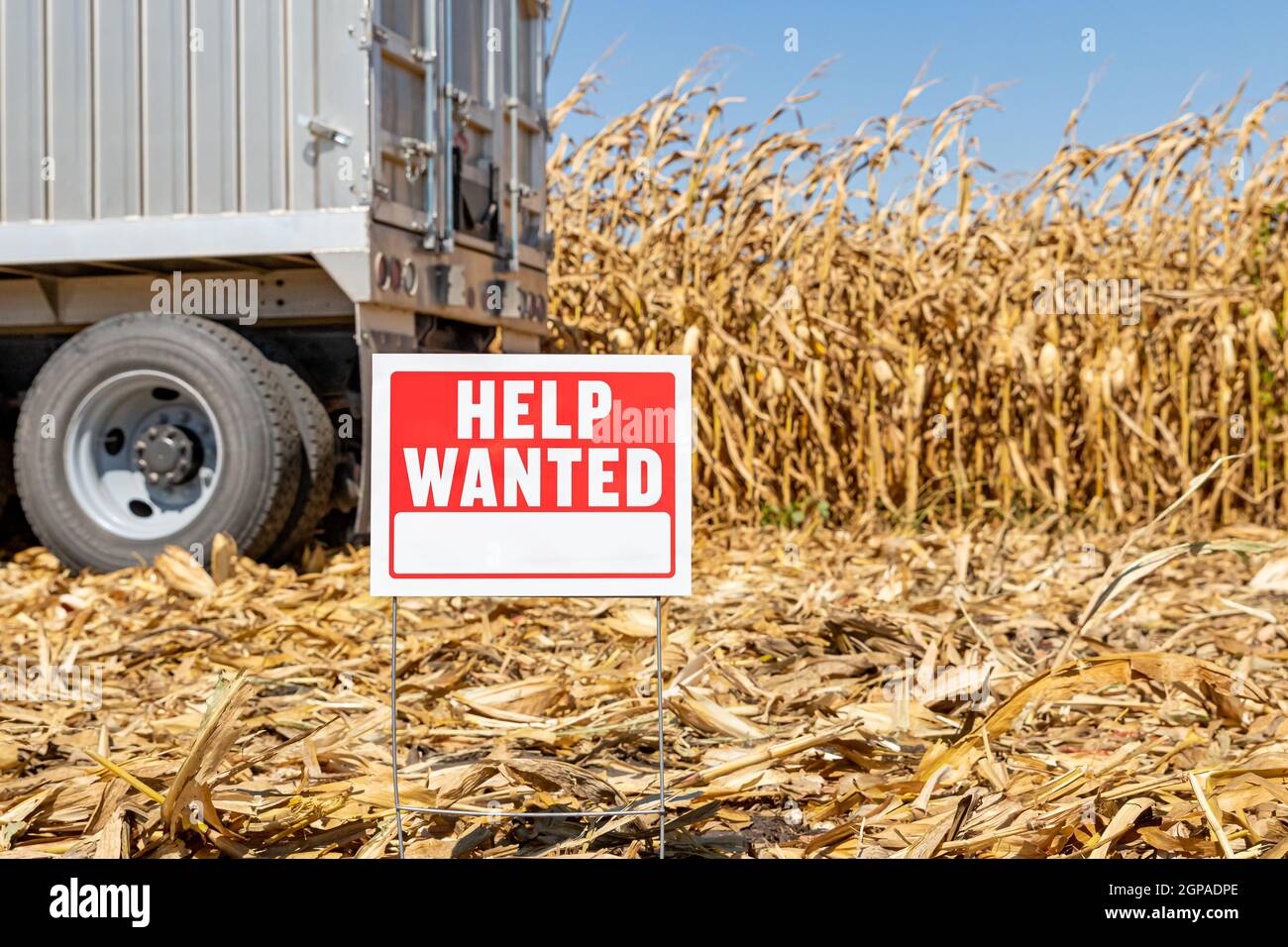 Help wanted sign in farm field. Farm labor shortage, agriculture job market and employment concept Stock Photo