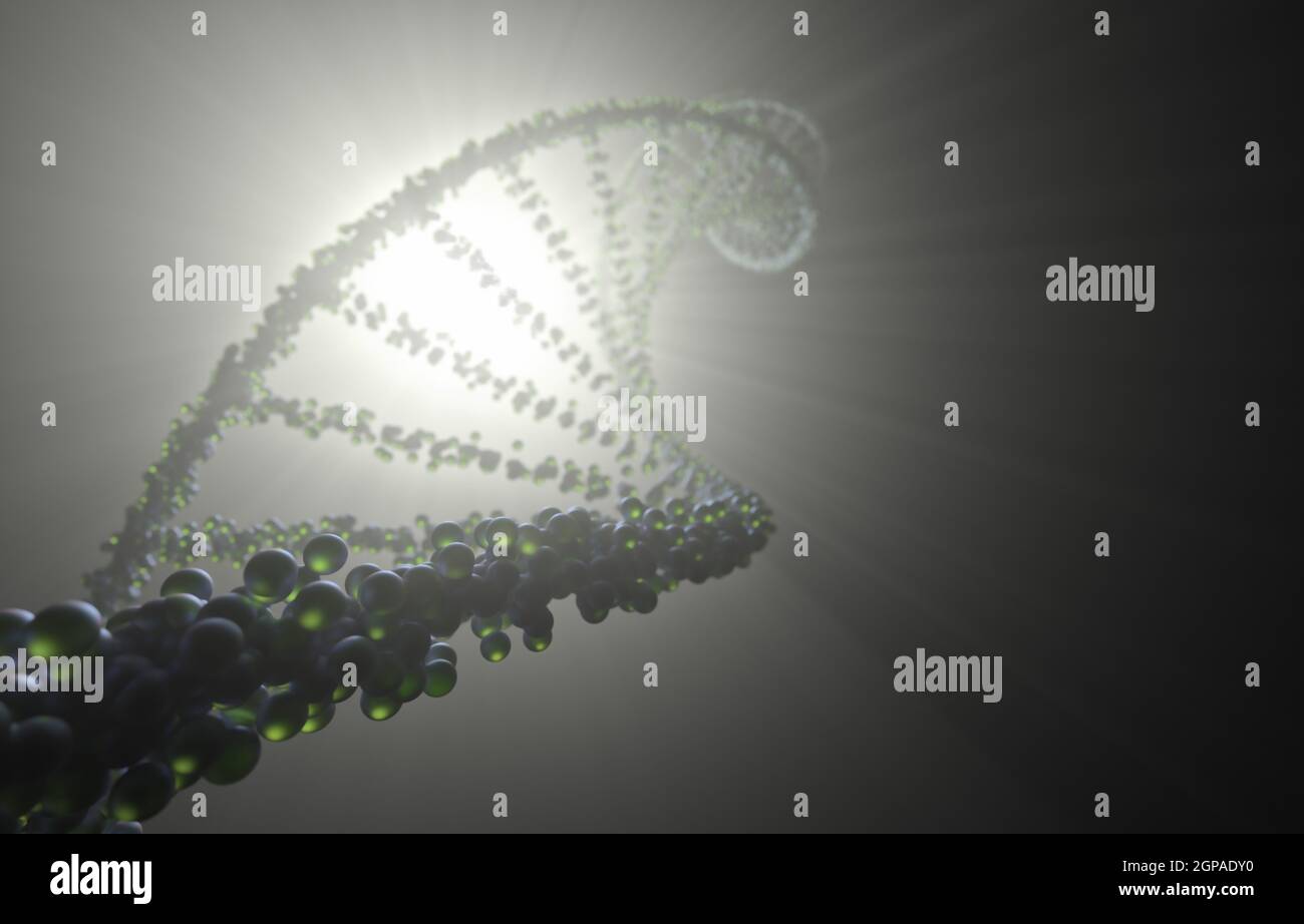 DNA molecule with backlight. Genetic code, helical molecules. Stock Photo