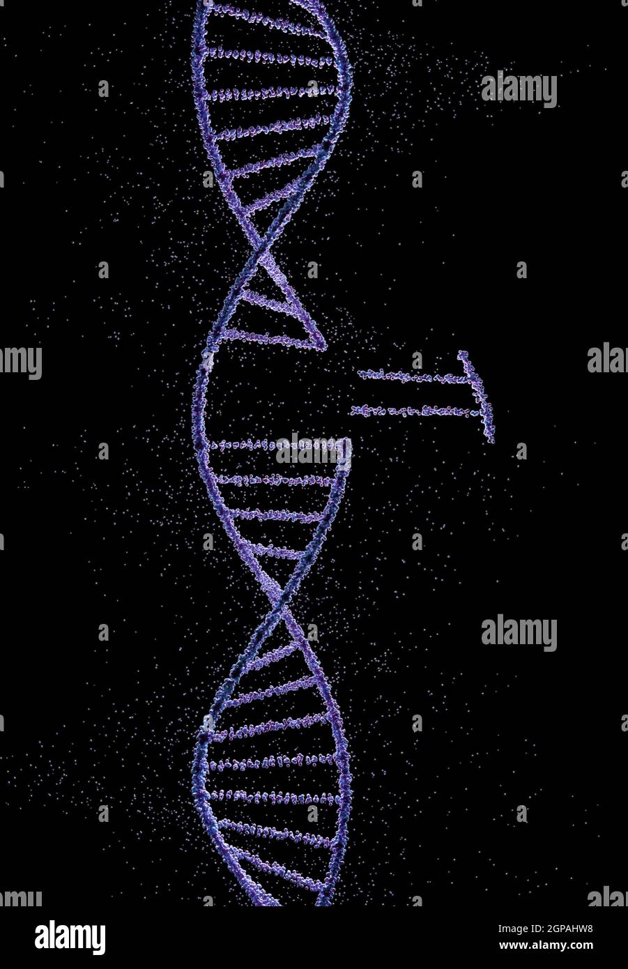 Helical DNA code with grouped spheres forming genetic molecules. Stock Photo