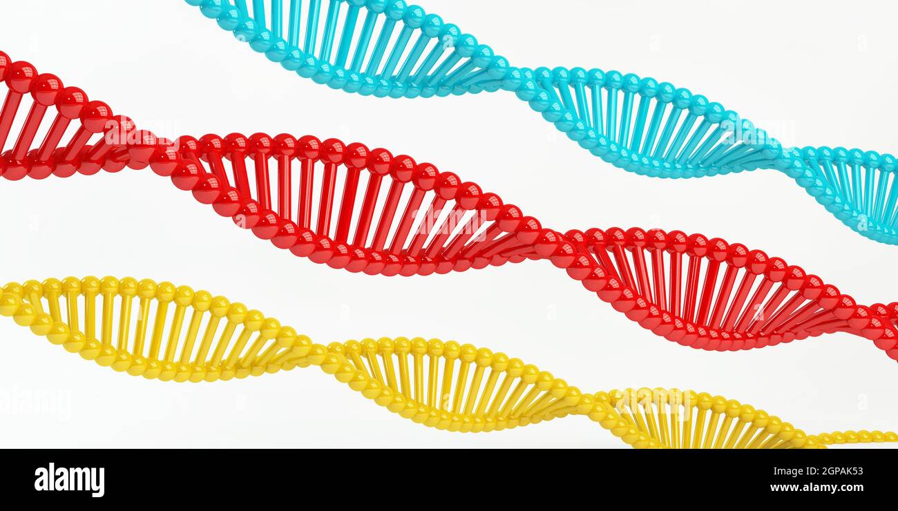 STEM Education Science Technology Engineering Mathematics Stock Photo