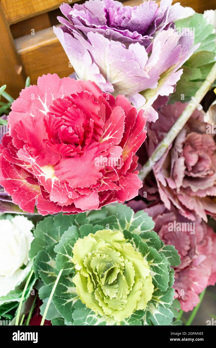 Artificial colorful head of cabbage flowers, vertical image Stock Photo