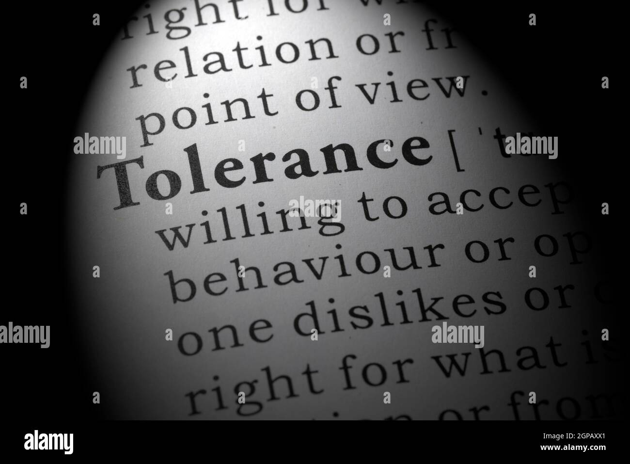 Fake Dictionary, Dictionary definition of tolerance Stock Photo Alamy
