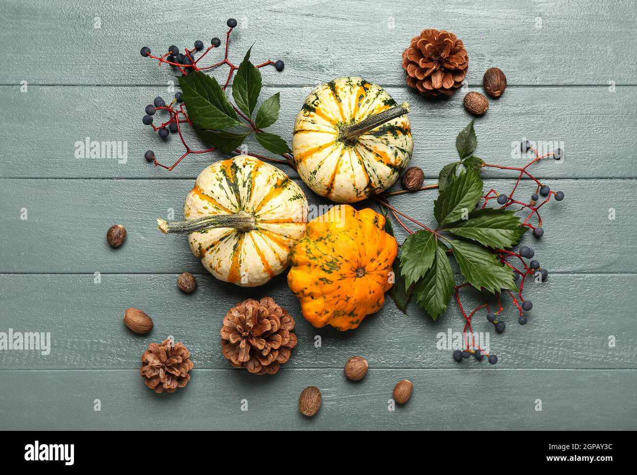 Autumn composition with different pumpkins, pine cones and leaves on ...