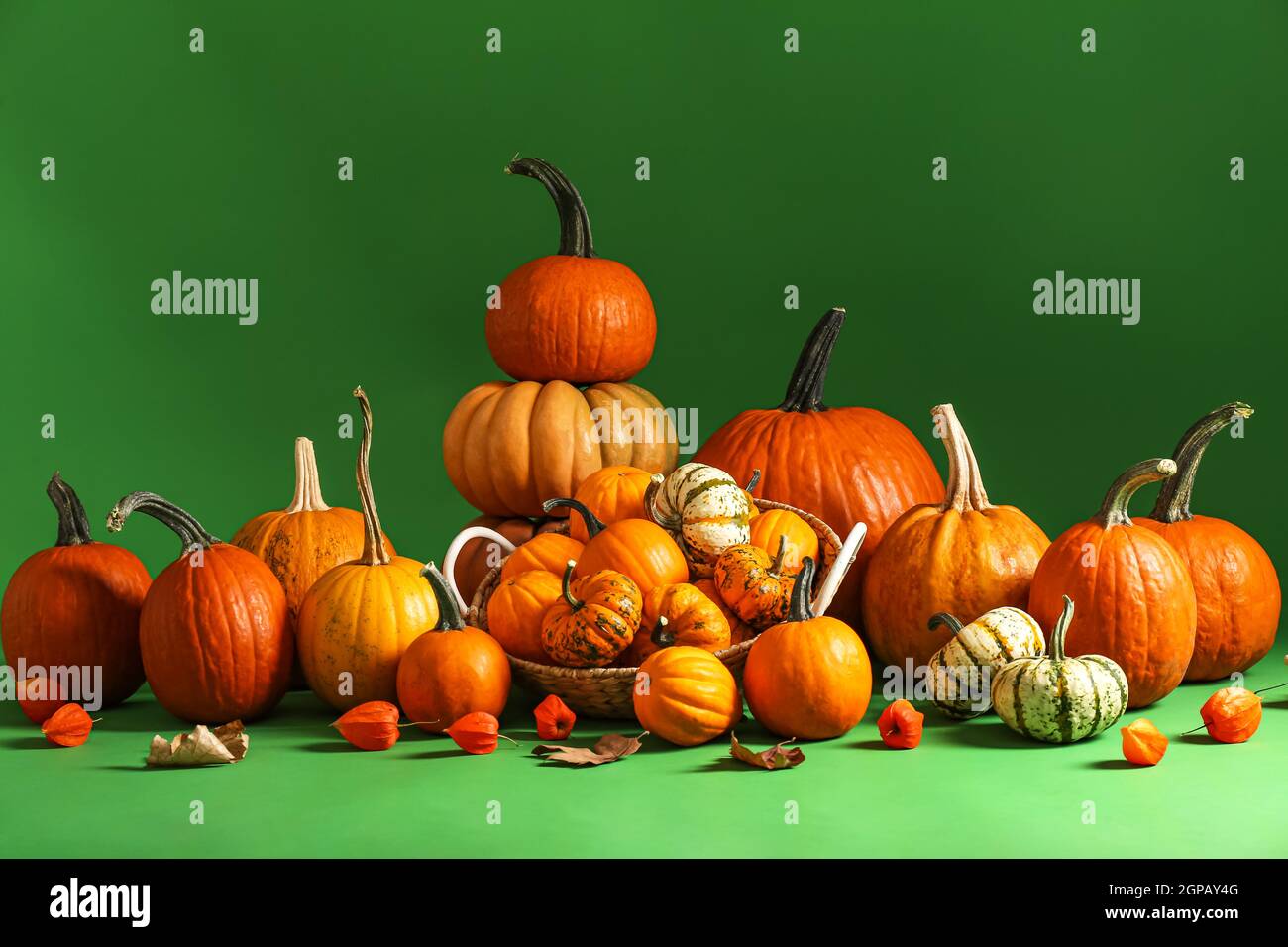 Composition with different pumpkins on green background Stock Photo - Alamy