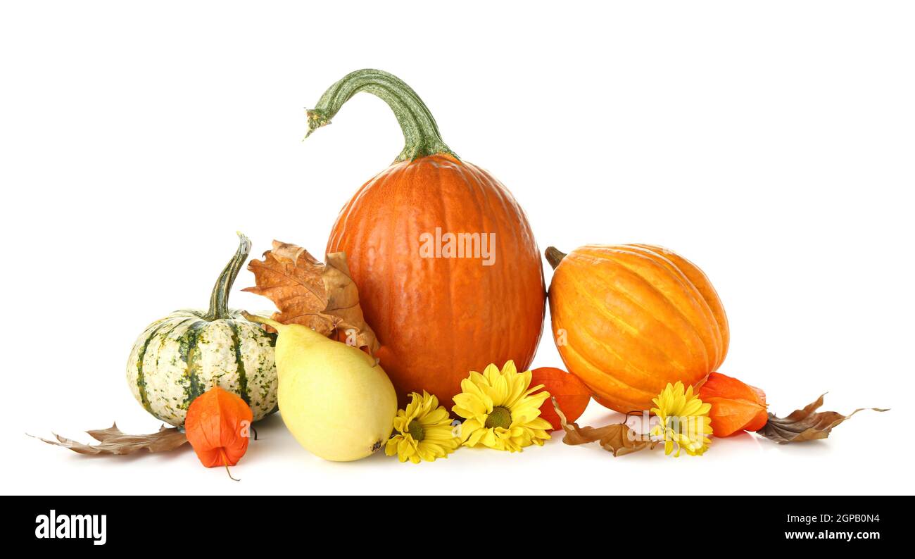 Autumn composition with different pumpkins and pear on white background ...