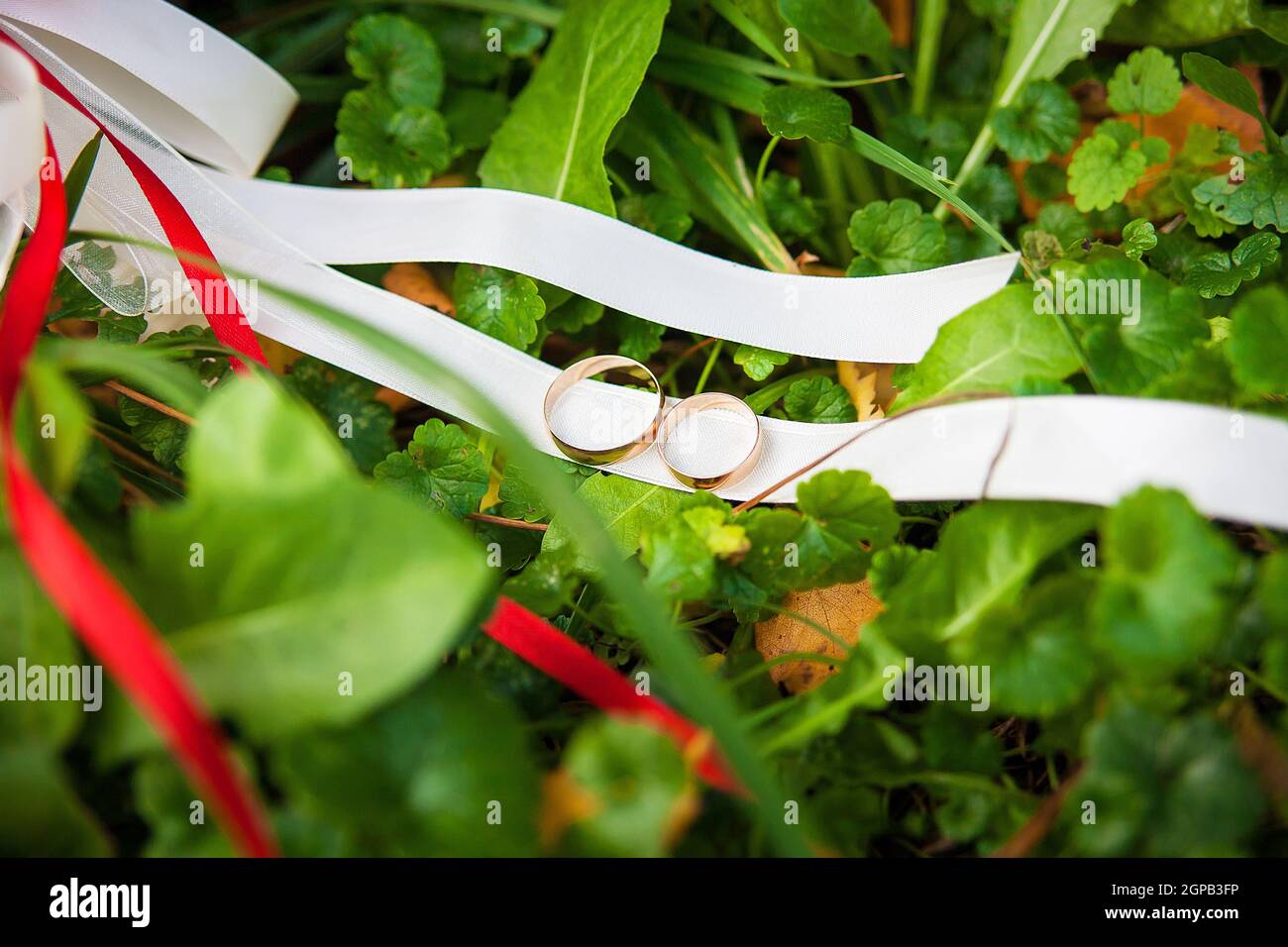 wedding rings on a ribbon bridal bouquet Stock Photo - Alamy
