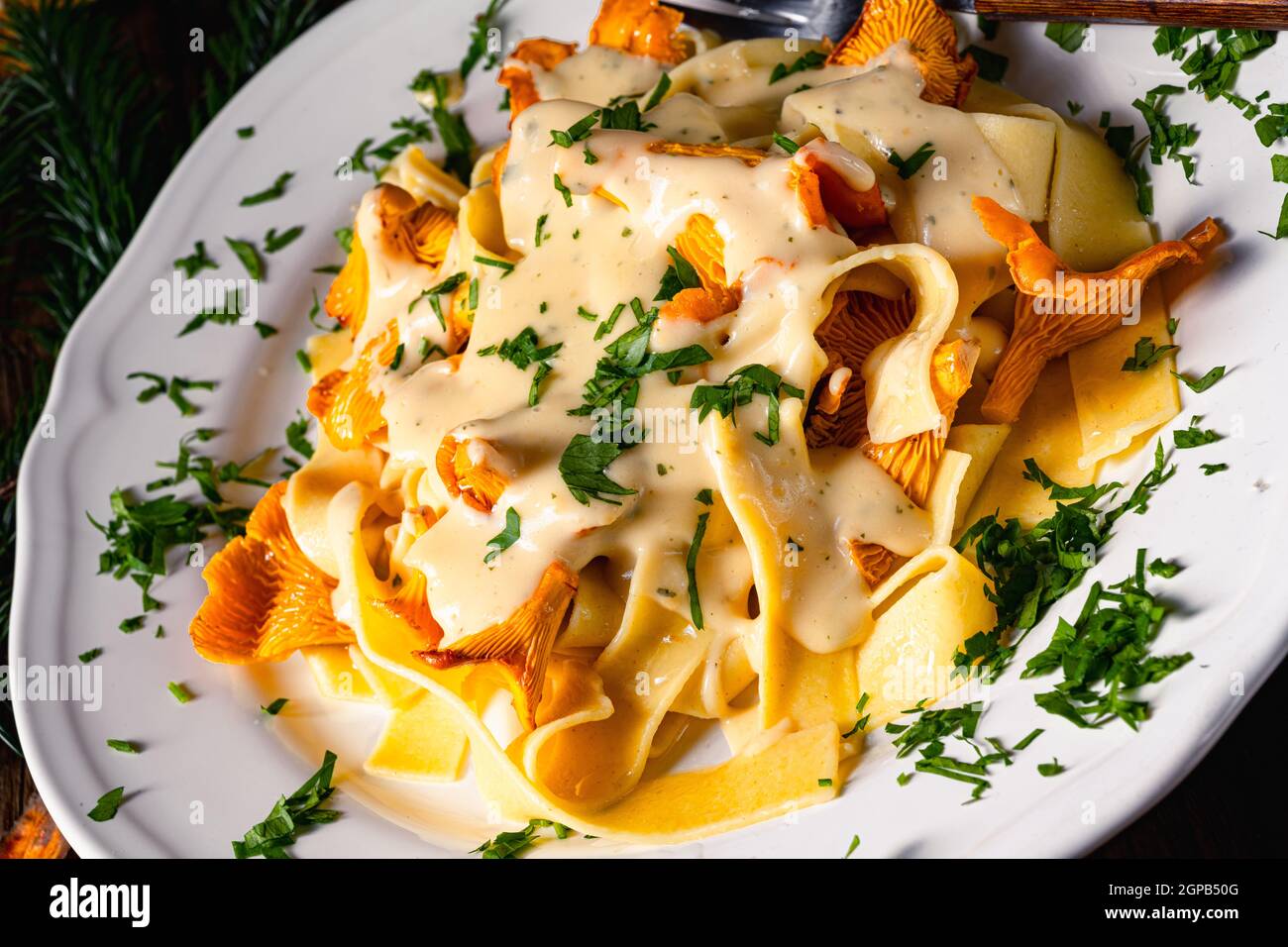 Tagliatelle with fresh chanterelles in a mushroom sauce Stock Photo Alamy