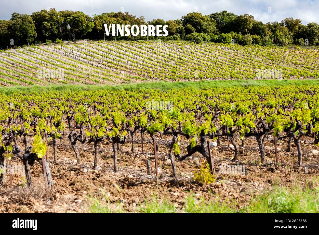 vineyards near Vinsobres, Provence, France Stock Photo Alamy