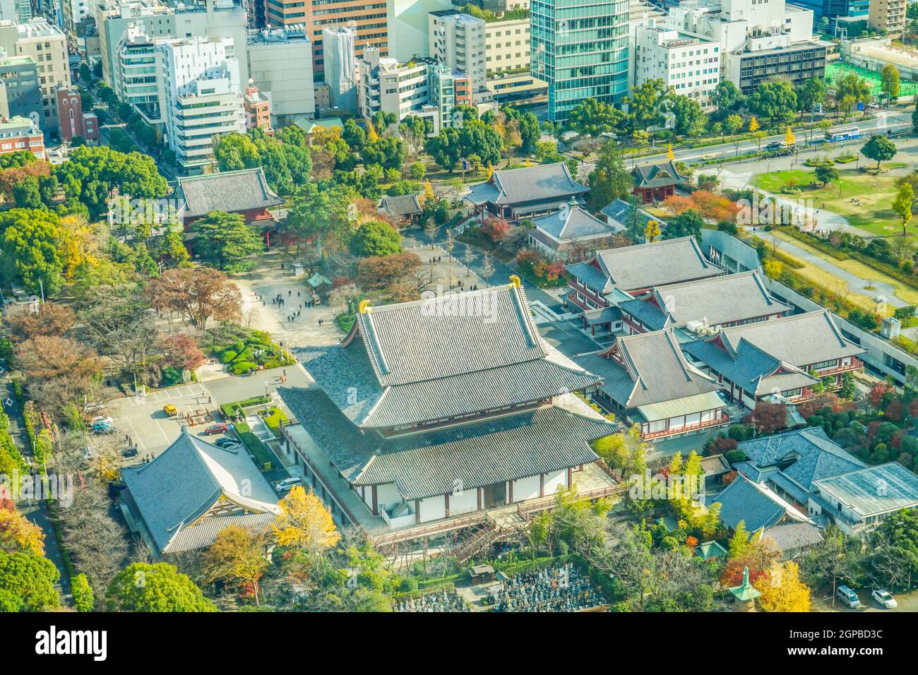 Zojoji Temple seen from the Tokyo Tower Observatory. Shooting Location: Tokyo metropolitan area Stock Photo