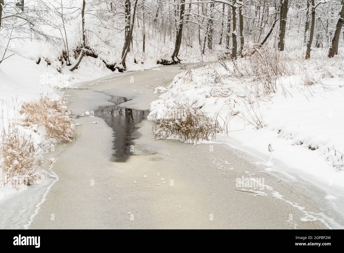 Winter landscape with the wood river Stock Photo - Alamy