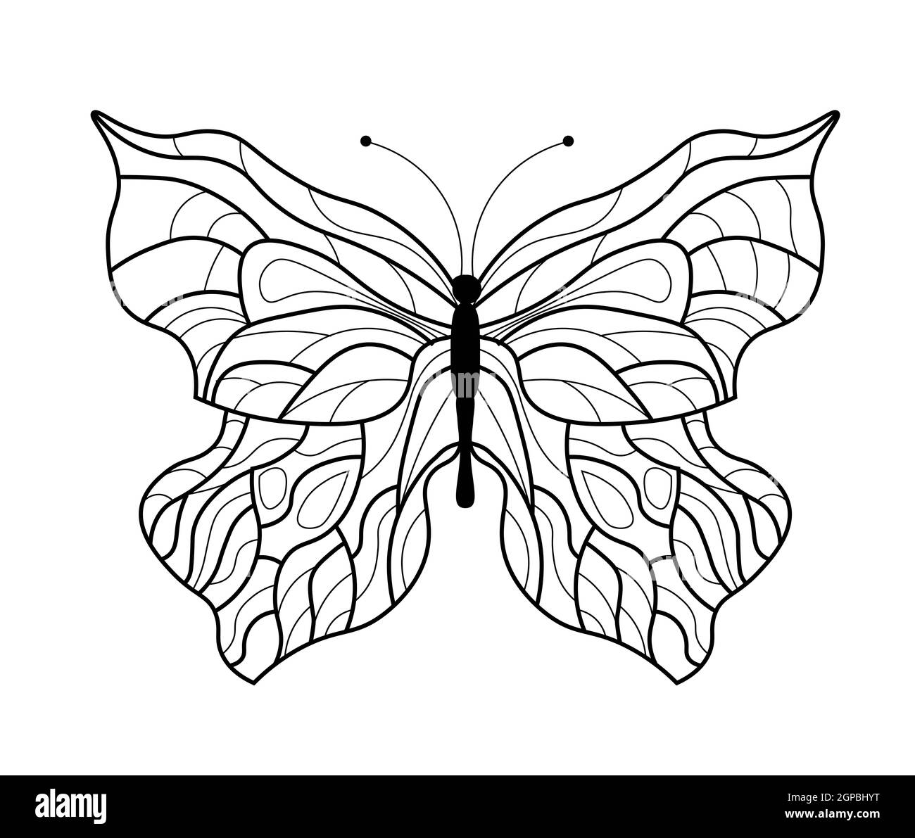 Butterfly coloring book. Linear drawing of a butterfly. Stock Photo