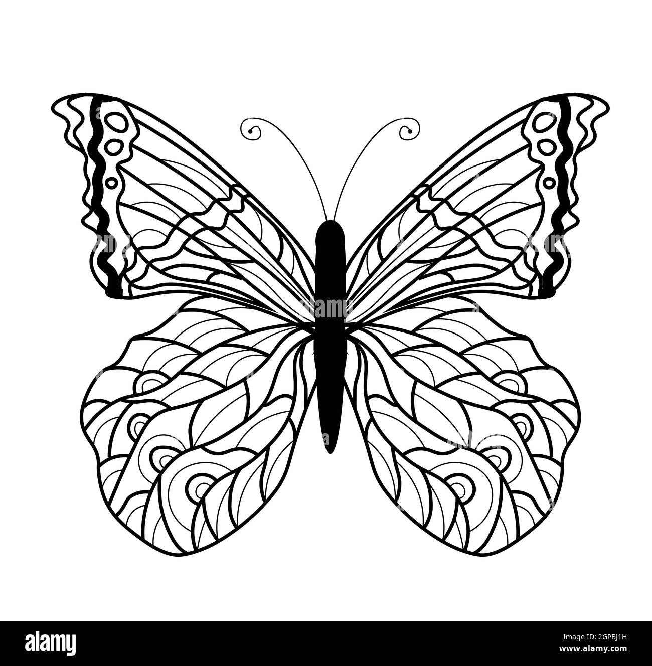 Butterfly coloring book. Linear drawing of a butterfly. Stock Photo
