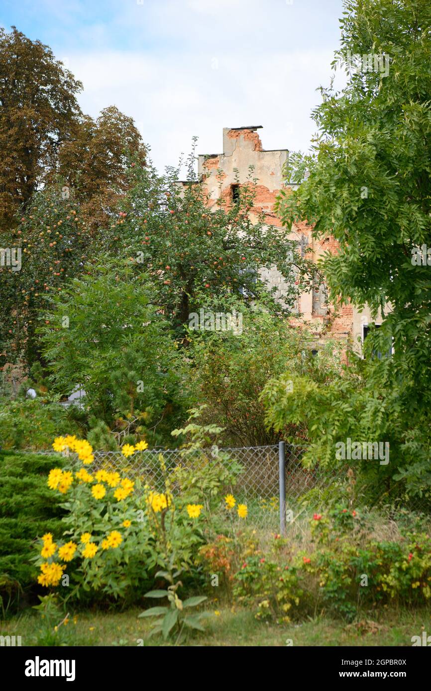 Großer garten gerswalde hires stock photography and images Alamy