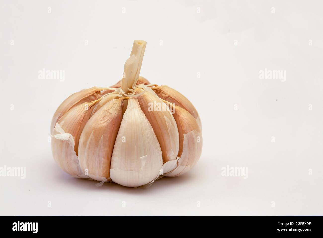 Organic fresh garlic bulb isolated on white background. Stock Photo