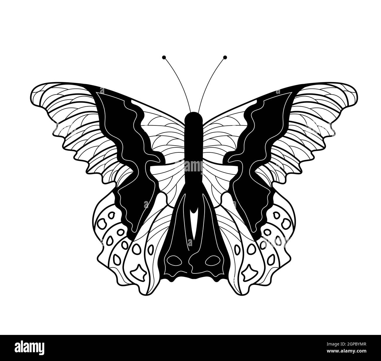 Butterfly coloring book. Linear drawing of a butterfly. Stock Photo