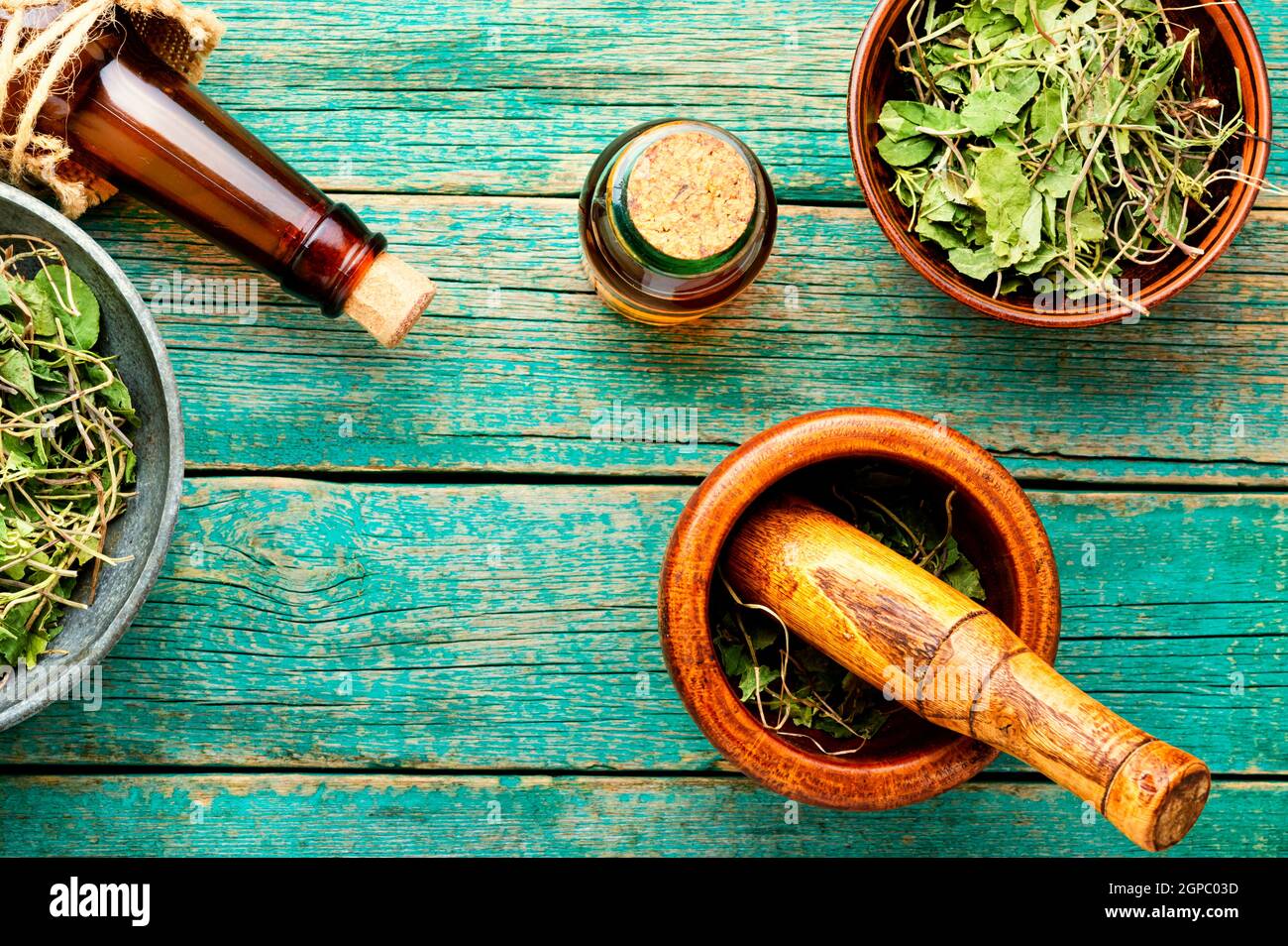 Mortar with a pestle with dried medicinal orthilia secunda.Medicinal herbs in herbal medicine. Stock Photo