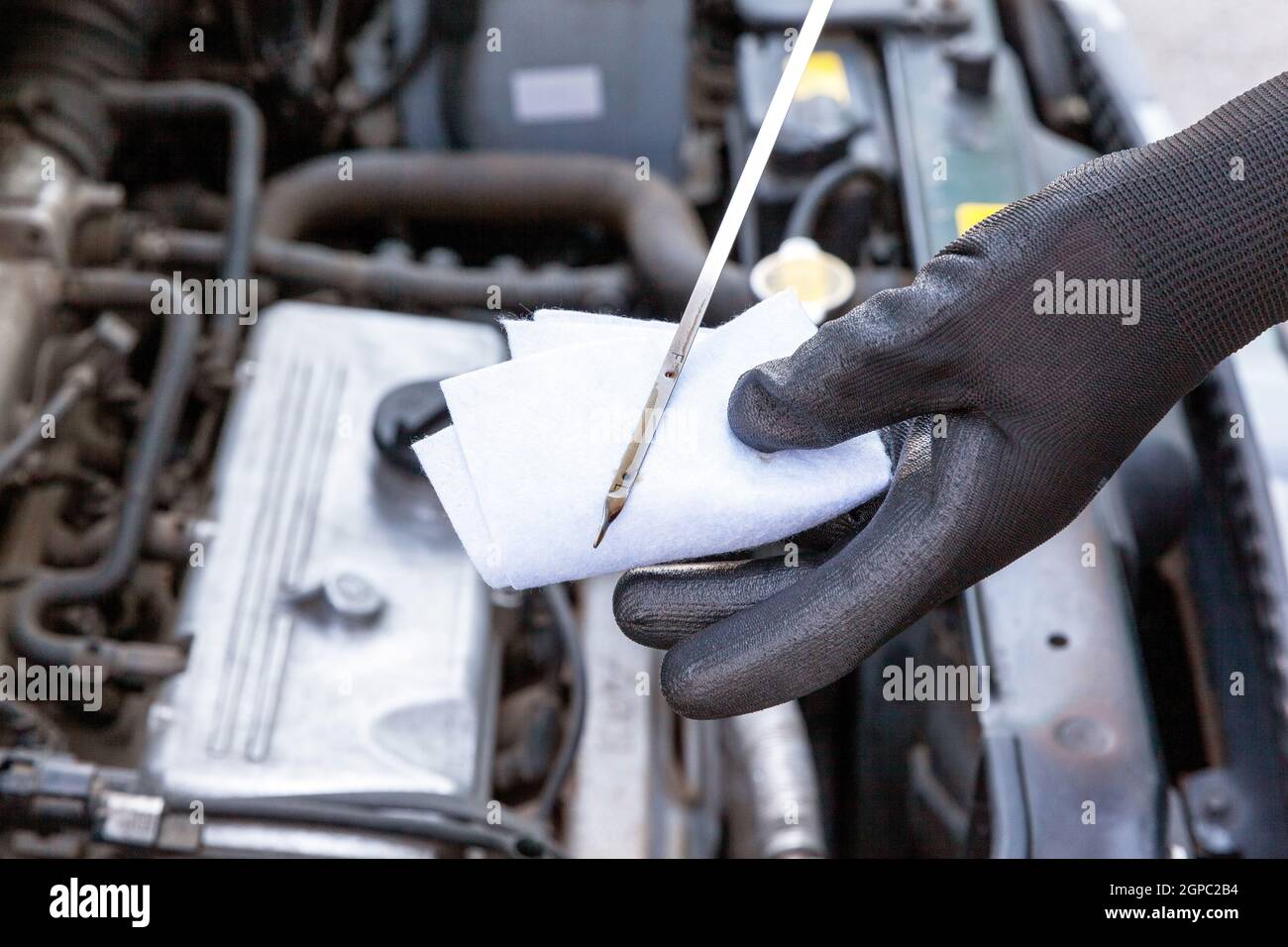 Measuring motor oil level in the car Stock Photo Alamy