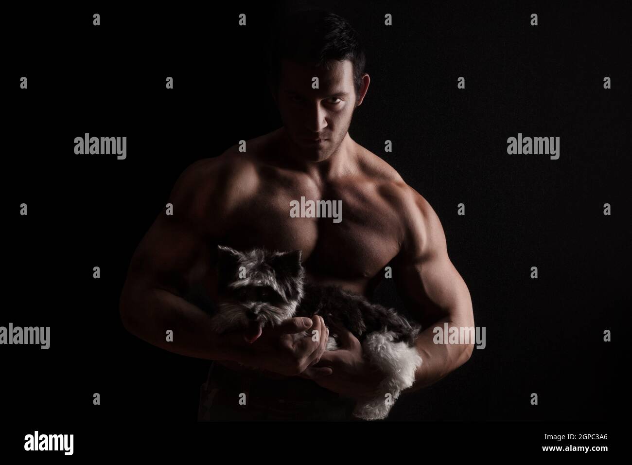 Handsome huge bodybuilder holding cute yorkshire terrier on dark black background. Stock Photo