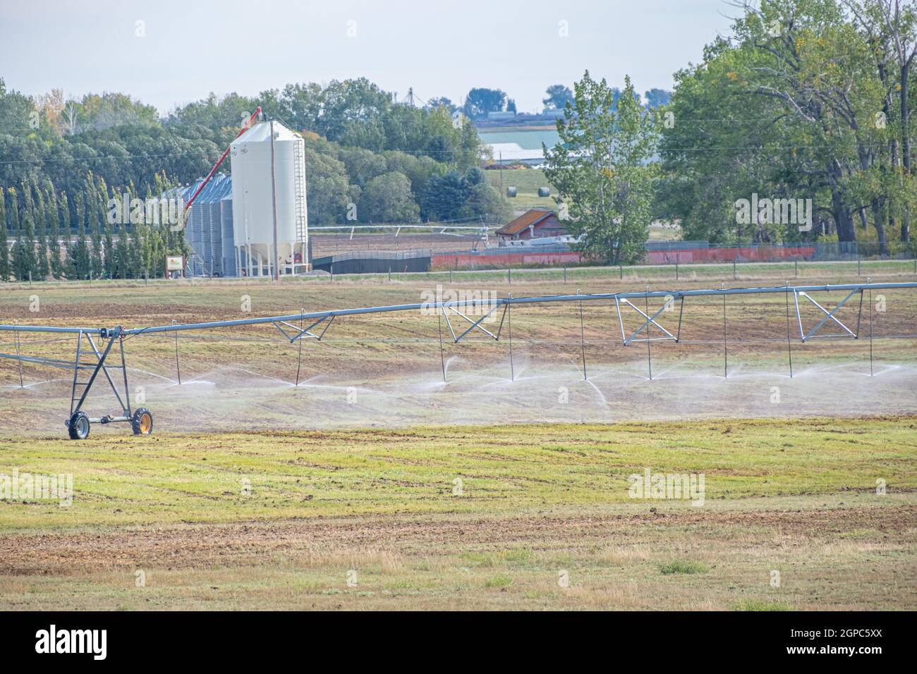 Agricultural farm being irrigated with water spray Stock Photo Alamy