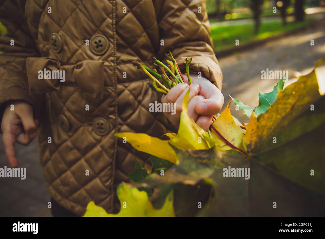 close up of childrens hand with orange leaves Stock Photo