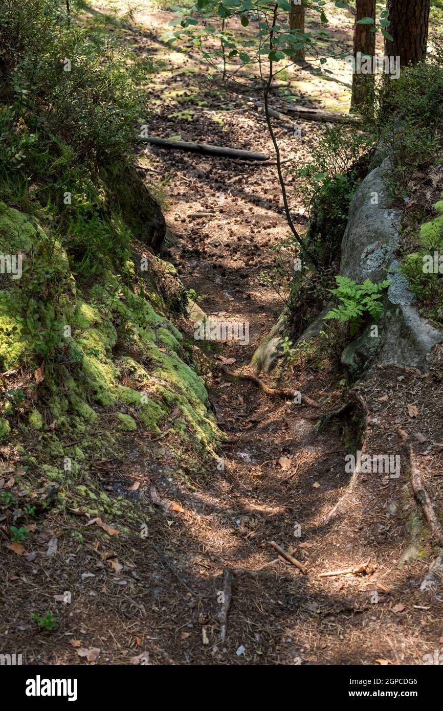 Ground With Rocks Path ground path between rock formation made from sandstones inside of a ...