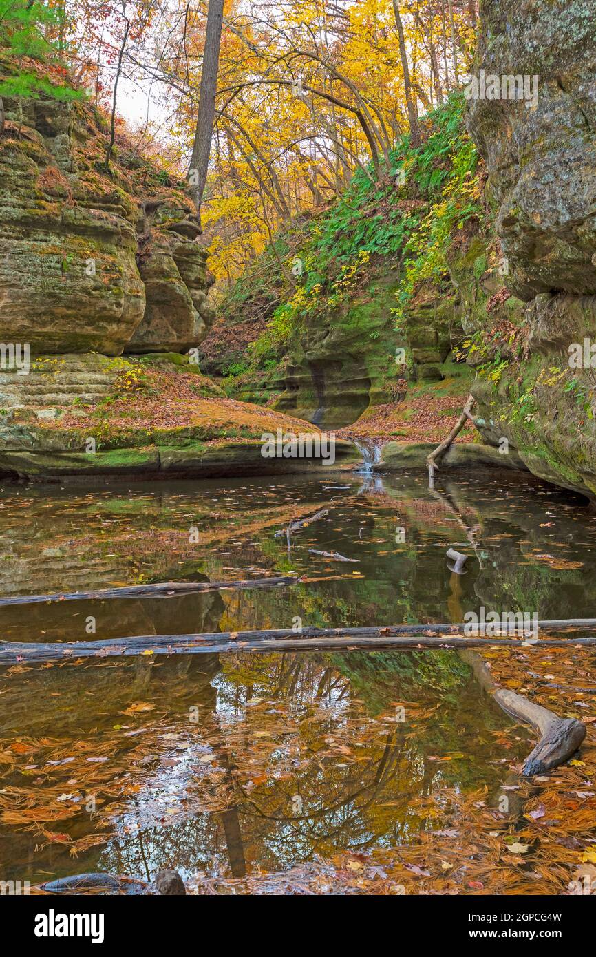 Quiet Stream and the Muted Colors of Autumn in Illinois Canyon in Starved Rock State Park in Illinois Stock Photo