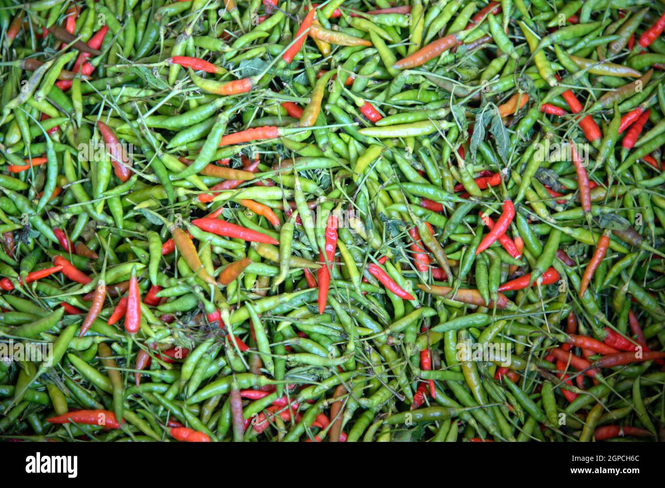 Pile green peppers on market hi-res stock photography and images - Alamy