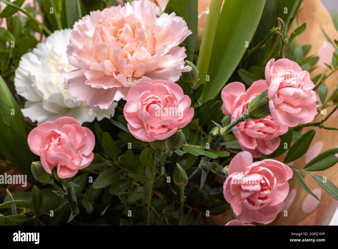 floristic bouquet of roses and carnations flowers Stock Photo - Alamy