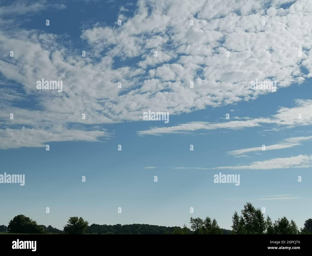 Summer landscape on a clear sunny day, blue sky with white cumulus ...