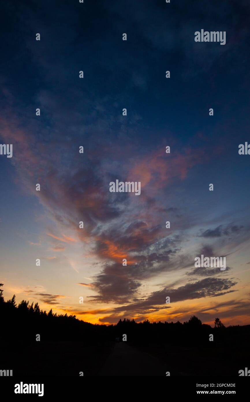 Sunset sky with dramatic colorful clouds and trees silhouette | Sky at ...