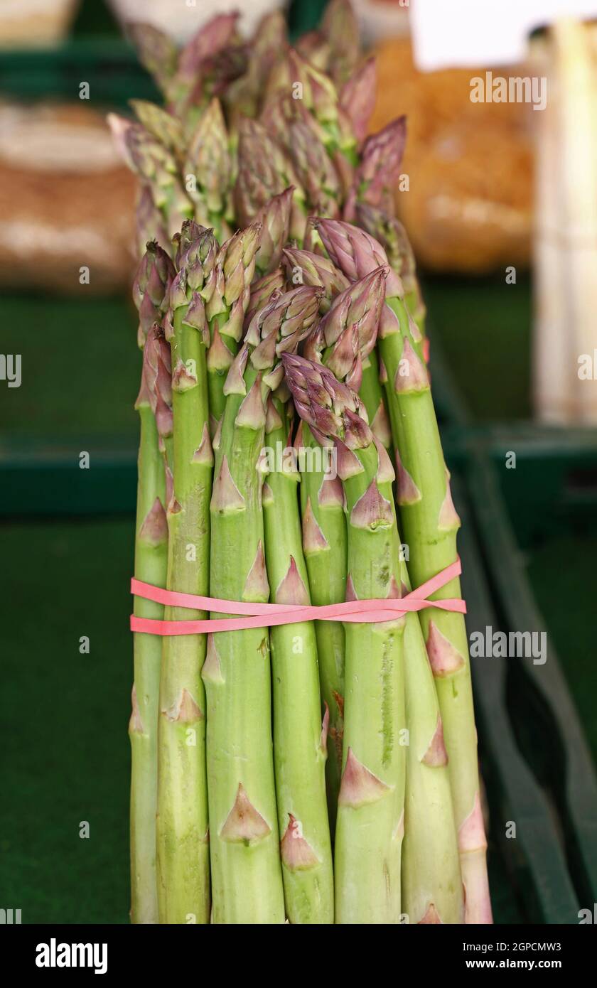 Bundle bunch of fresh green garden asparagus shoots close up, low angle view Stock Photo