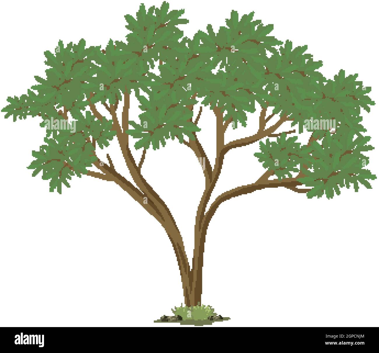 Isolated big tree on white background illustration Stock Vector Image ...
