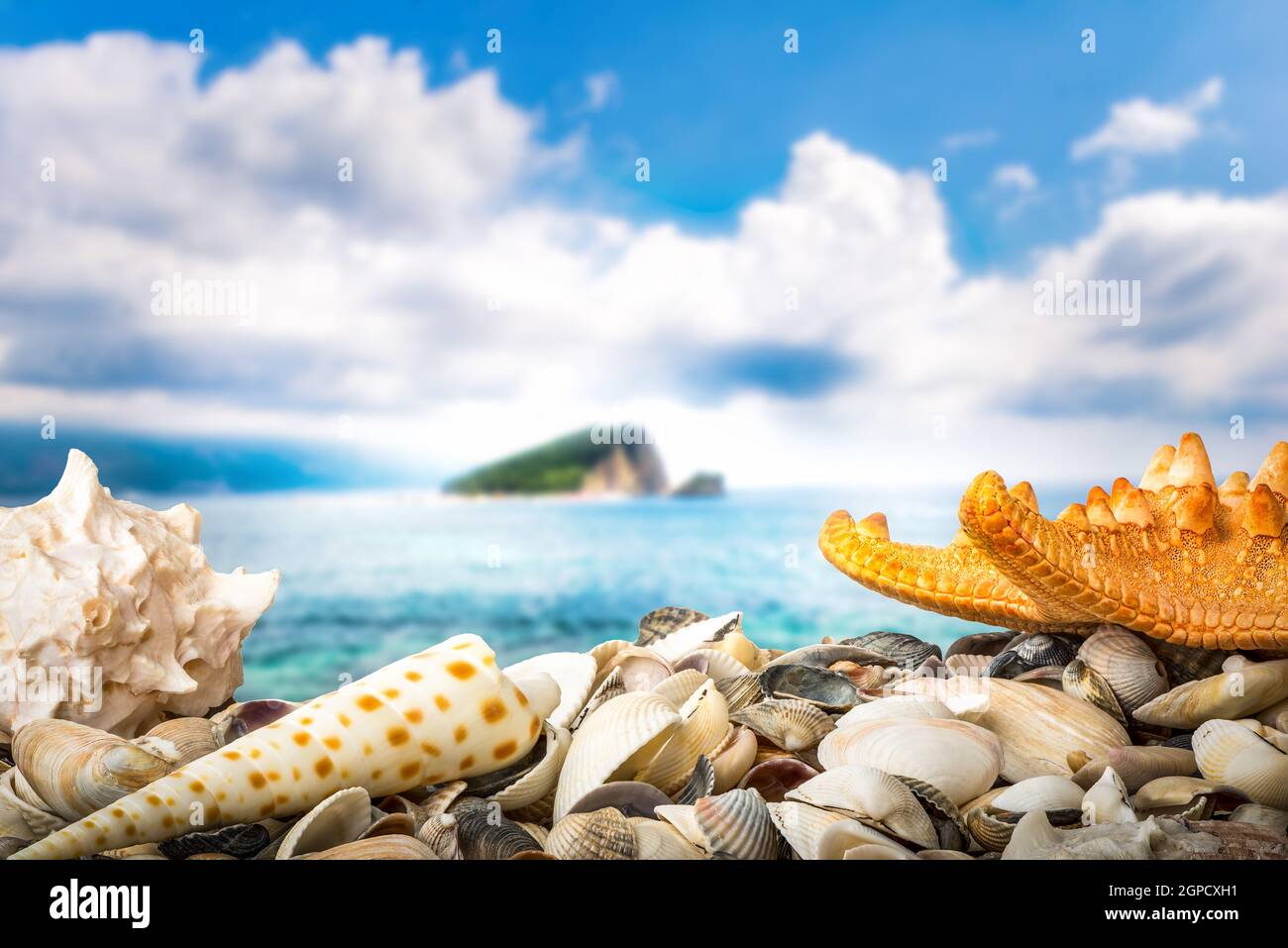 Shell beach and cliff in the sea near Budva, Montenegro Stock Photo