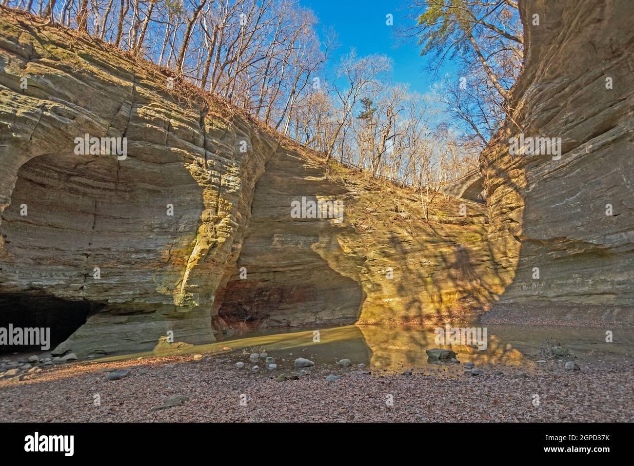 Winter Afternoon Shadows in a Deep Canyon in Matthiessen State Park in